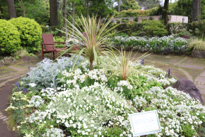 花づくり見本園[庭]