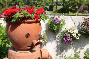 花づくり見本園[塀･壁]