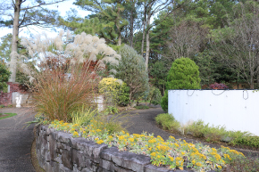 花づくり見本園[塀･壁]