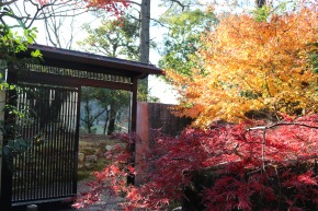 花づくり見本園[玄関]