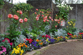 花づくり見本園[玄関]