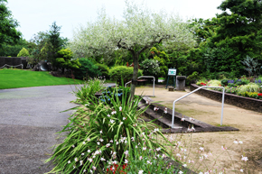 花づくり見本園[テラス]